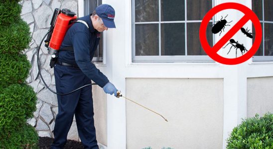 Bulanık Kemirgen İlaçlama böcek ilaçlama ve haşere kontrolü — ilaclama-tr.com